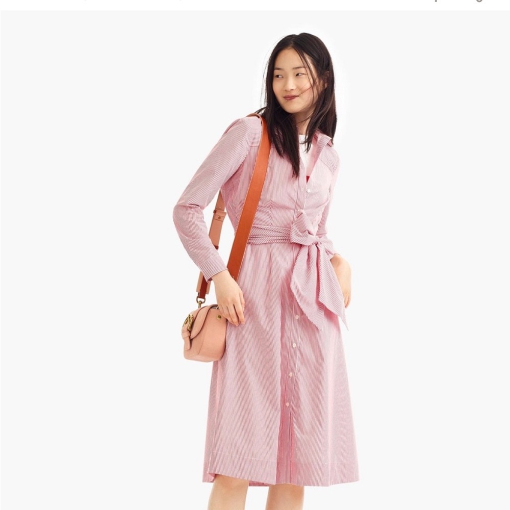 J. Crew Stripe Tie-Waist Shirtdress